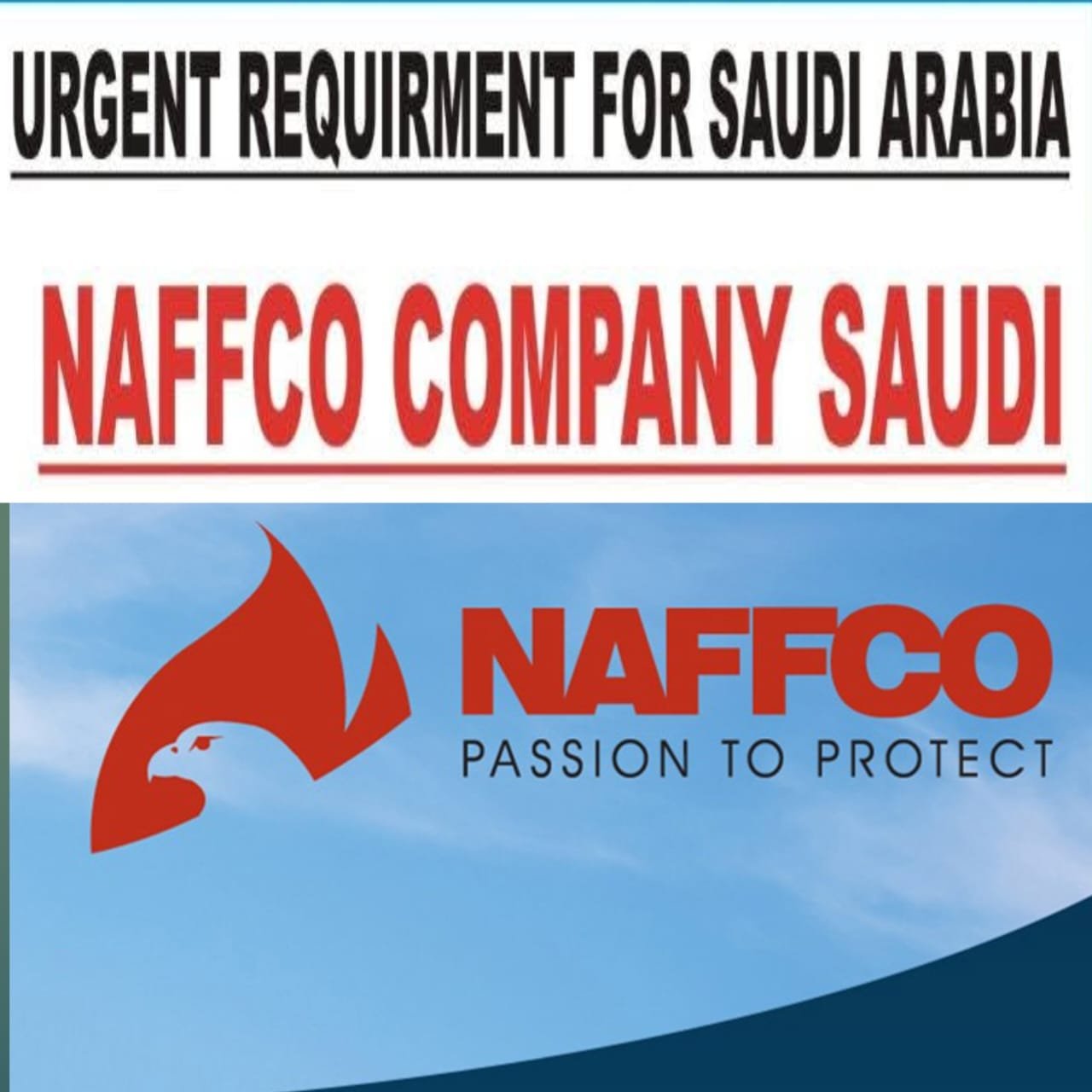 🛫 Urgent Requirement for Saudi Arabia – NAFFCO Company Saudi Client Interview in Patna