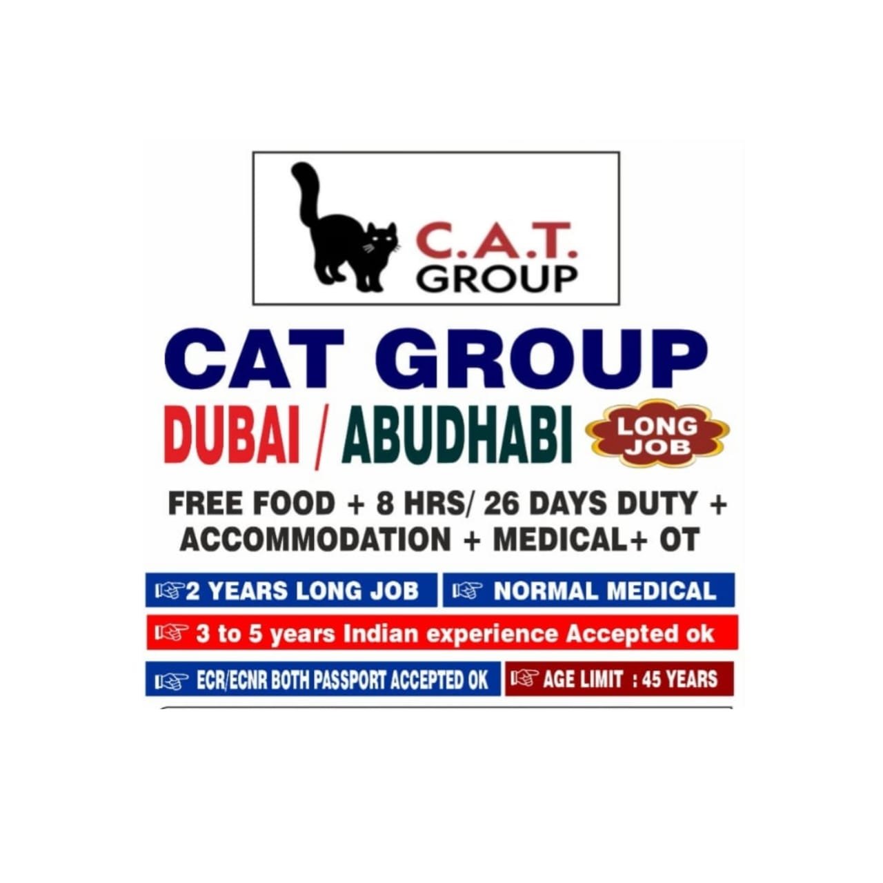 Golden Job Opportunity in C.A.T. Group UAE – Final Client Interview on 10th June 2025